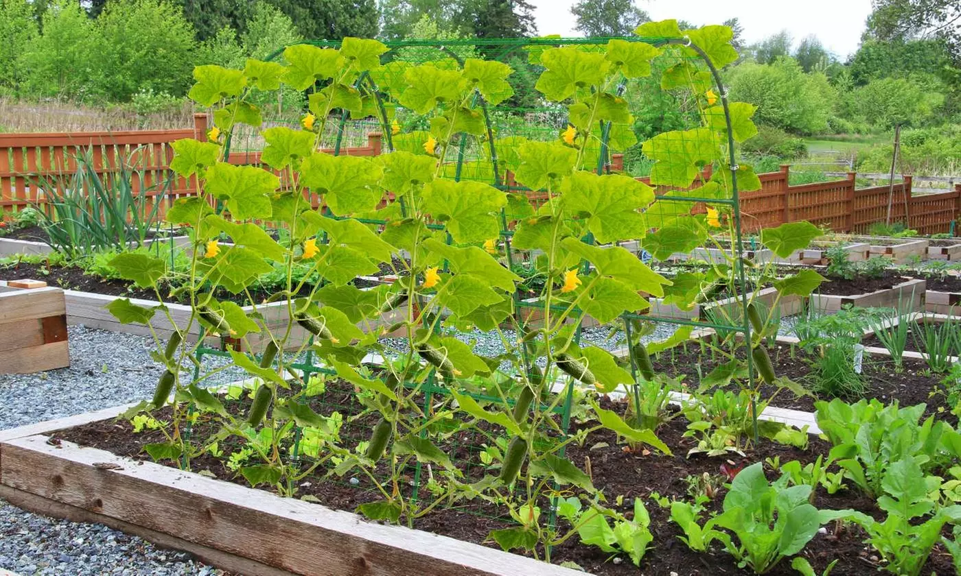 LakeForest Home Gardening & Irrigation Collection