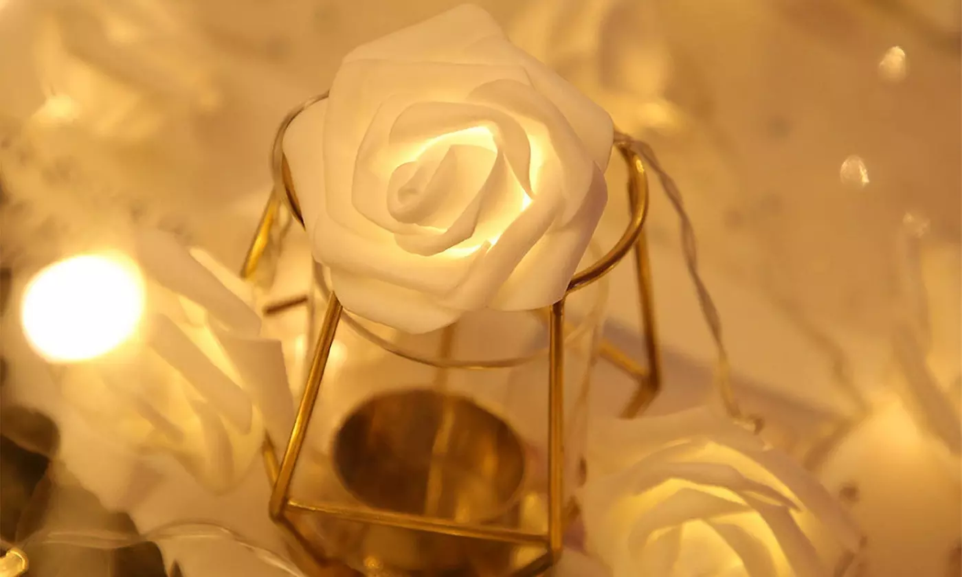  iMounTEK 40-LED Rose String Lights Romantic Valentines Day Decor (2-Pack)