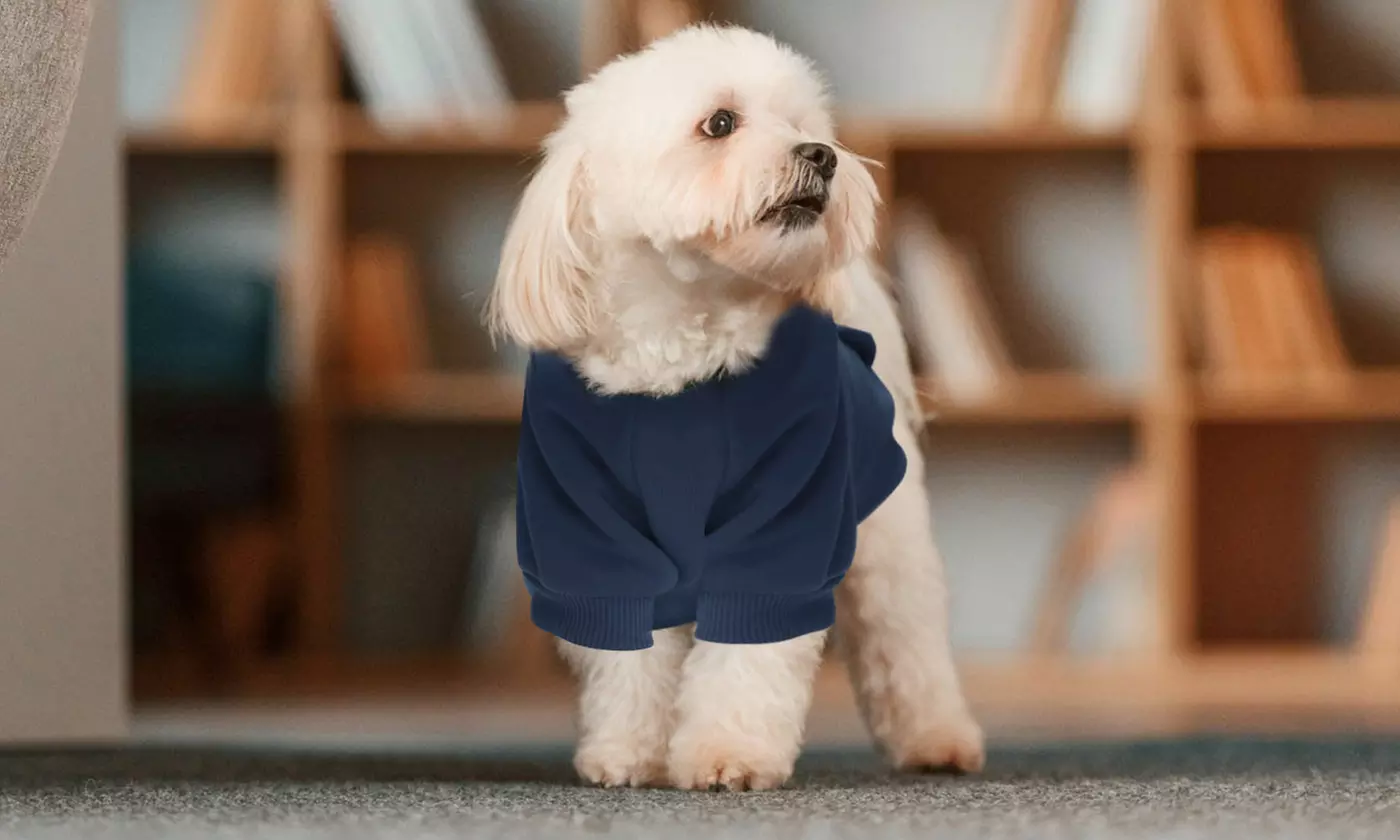 Winter Dog Hoodie Sweatshirts with Pockets Warm Dog Clothes for Small Dogs