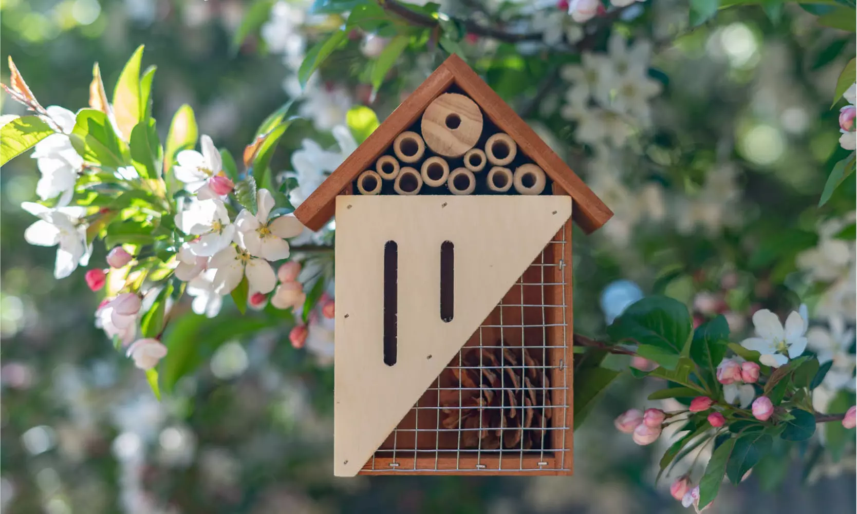 Pollination Palace - Bee & Butterfly Wooden Insect Home (1 or 2 Pack)- 2 Sizes - Primary Image
