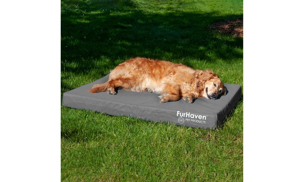 Dog beds groupon sale