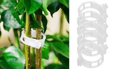 Up To 70% Off on Tomato Cucumber Garden Plant ... | Groupon Goods