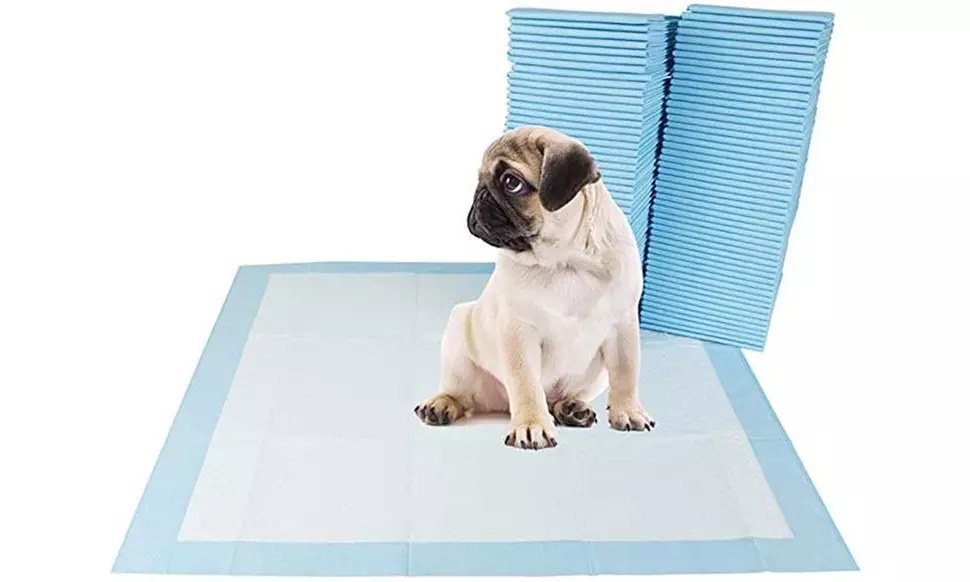50 - Dog Puppy 23x36 Pet Housebreaking Pad, Pee Training Pads, Underpads - Primary Image