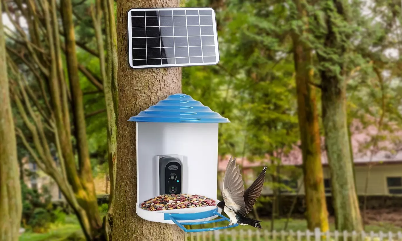 iMounTEK Smart Bird Feeder with Camera - 1080P HD Video