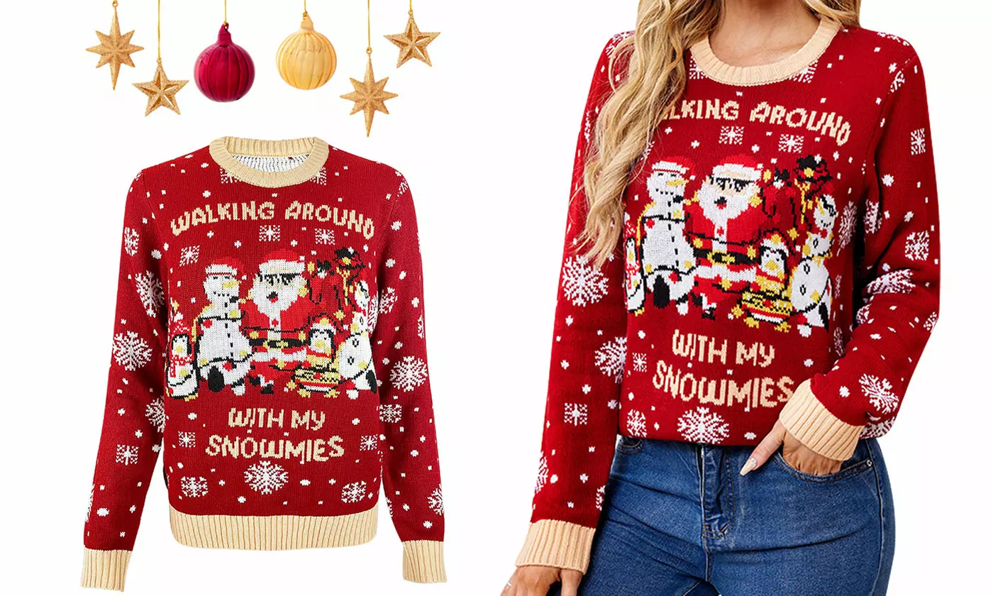 Women's Funny Christmas Pullover Long Sleeve Novelty Print Sweaters