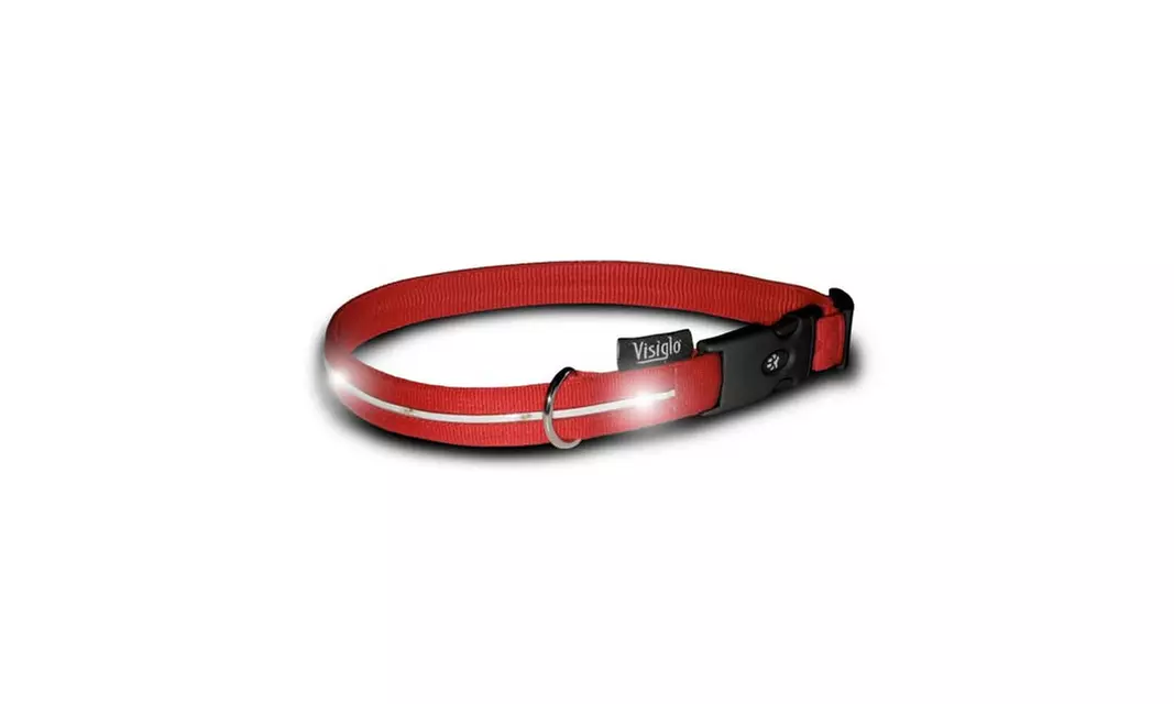 Visiglo V305 Red Nylon Collar with White LED Medium - Primary Image