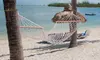 Outdoor Cotton Rope Hammock for Trees Hanging Hammocks