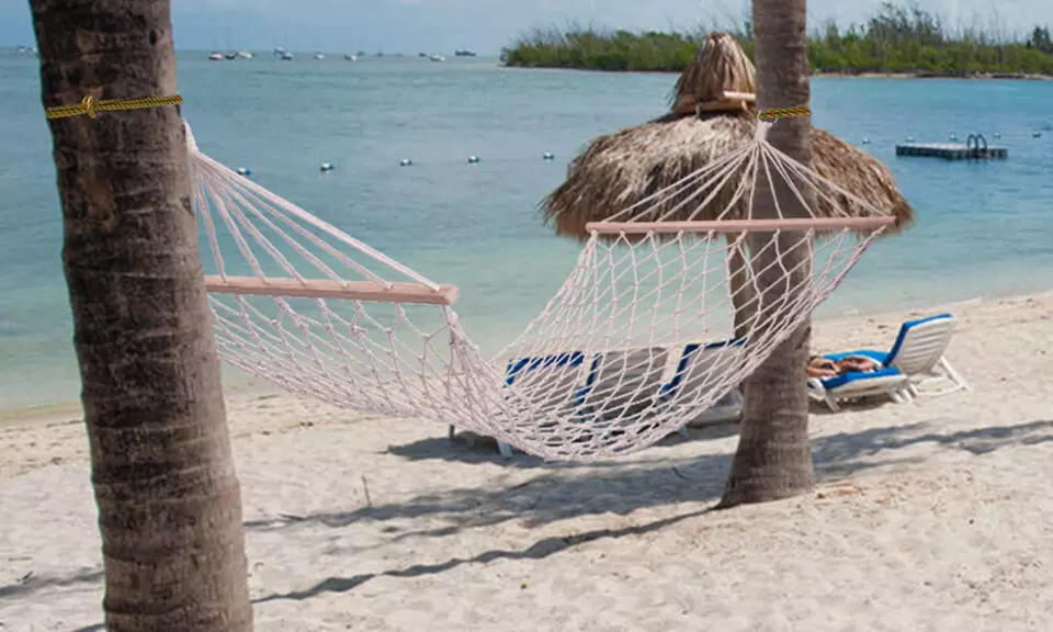 Outdoor Cotton Rope Hammock for Trees Hanging Hammocks - Primary Image
