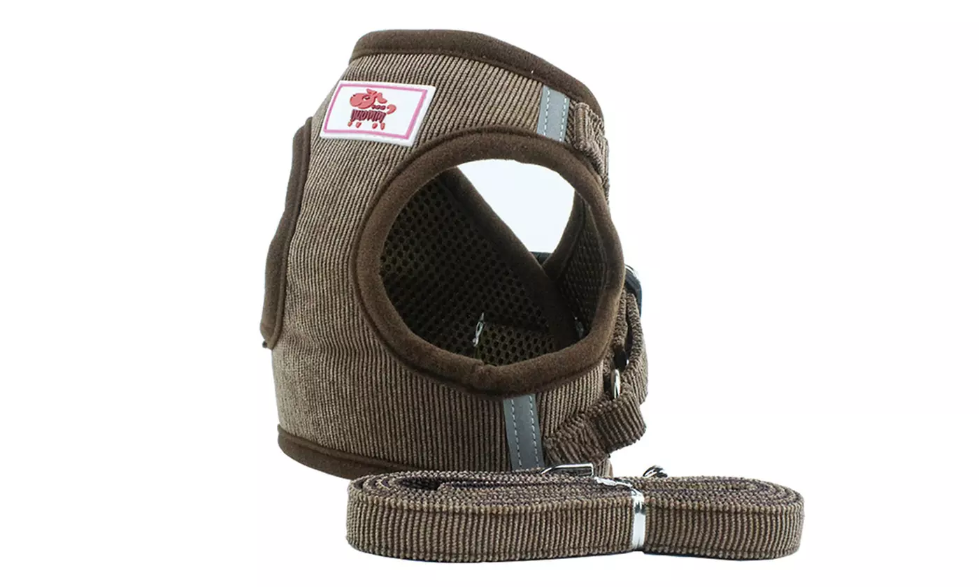 Windproof Reflective Dog Harness with Leash Set for Pet Walking