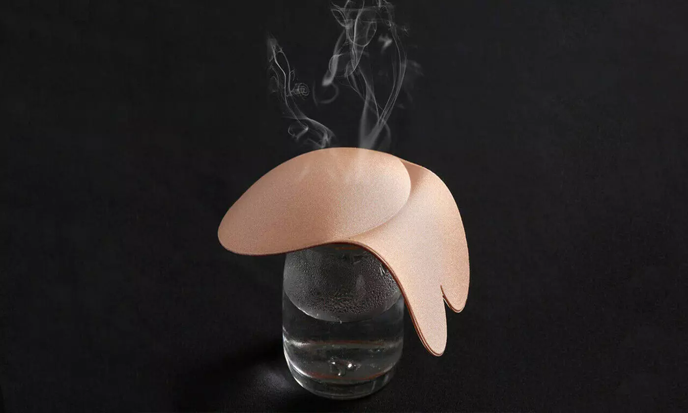 2-Pack Women's Invisible Lifting Bras Reusable Silicone Nipple Covers Backless