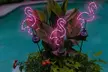 Outdoor Solar Powered LED Decorative Garden Stake Light (Set of 2) - 5 Options - Second Medium