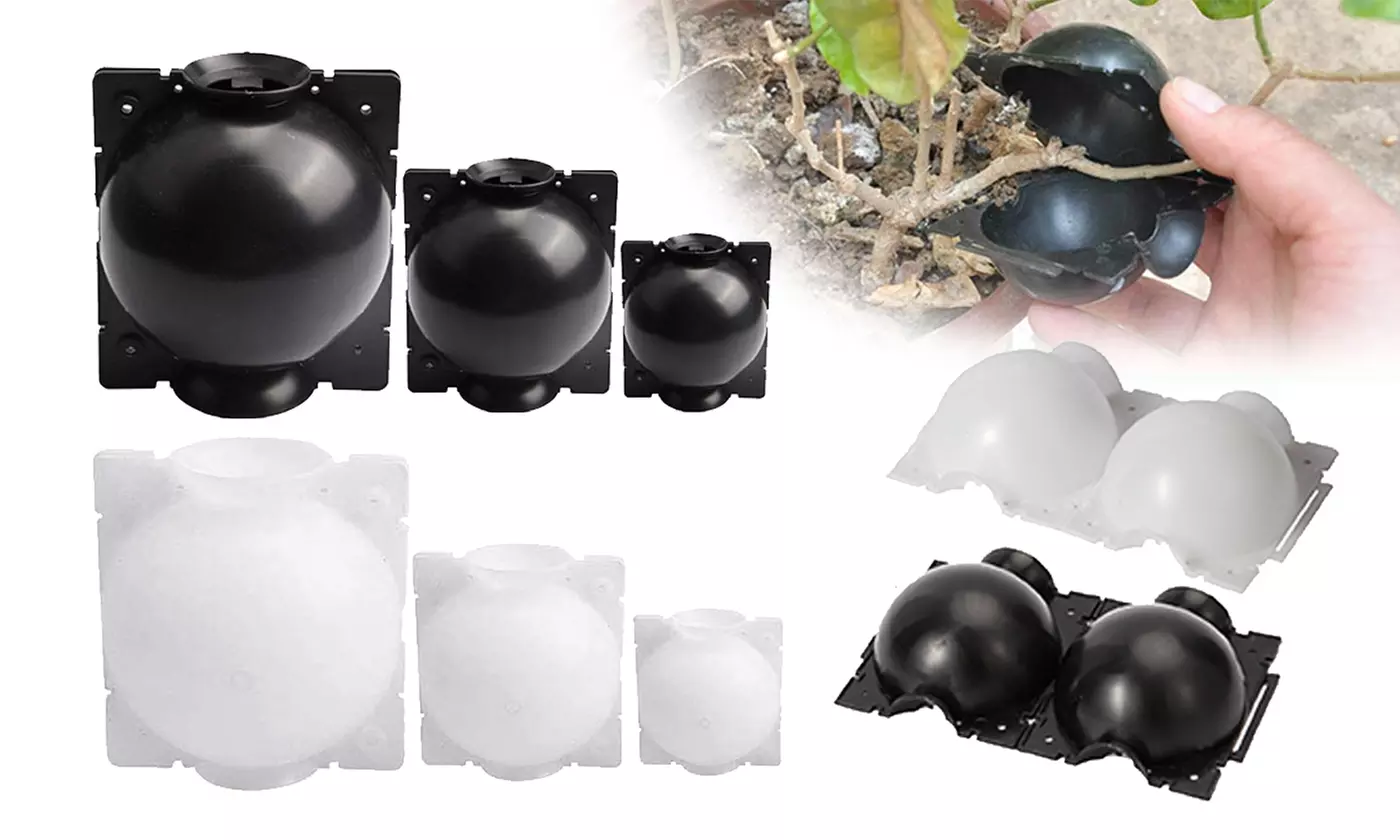3 Pack High Pressure Plant Rooting Device Growing Ball Box