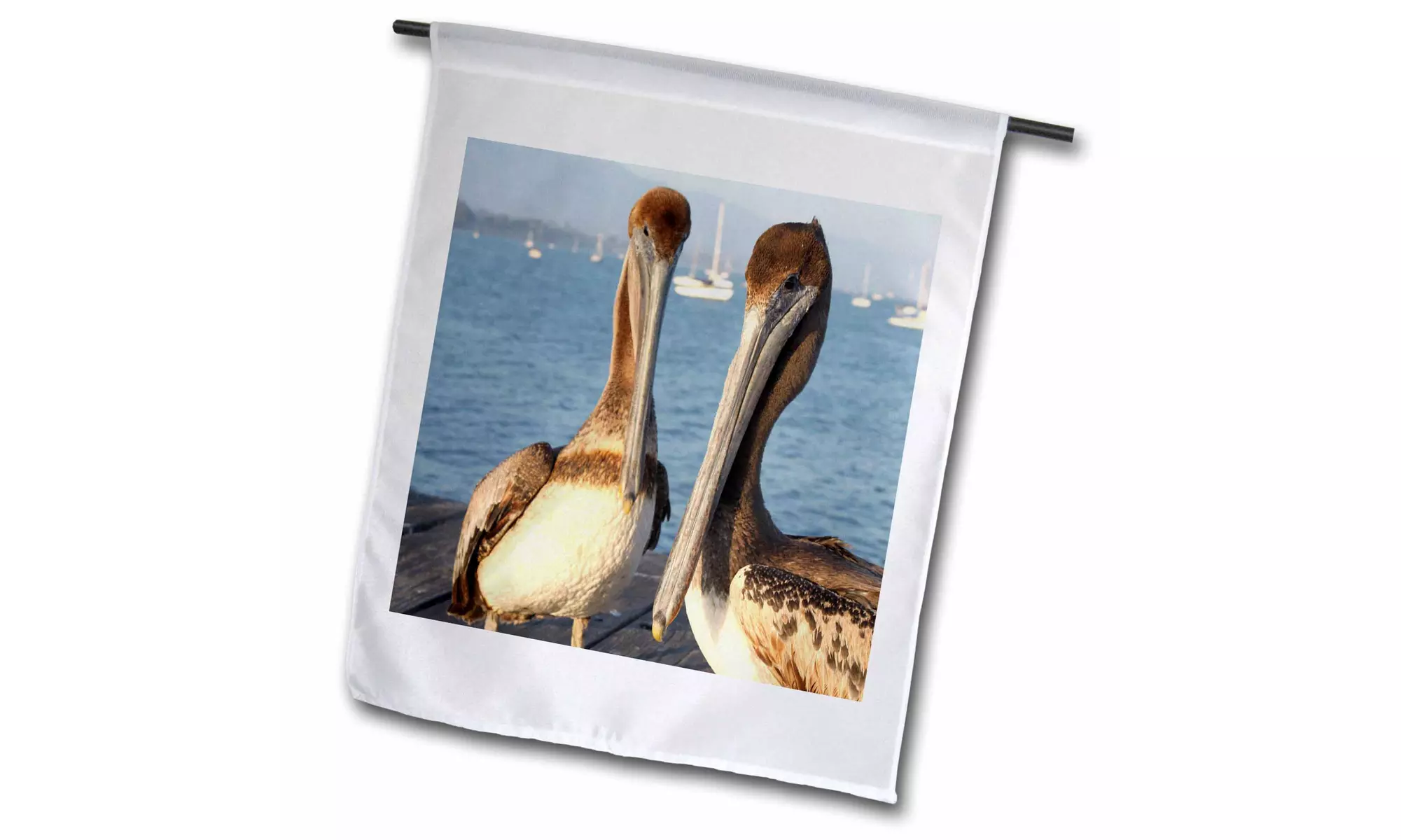 Garden Flag Two California pelicans on the Santa Barbara pier. - Primary Image