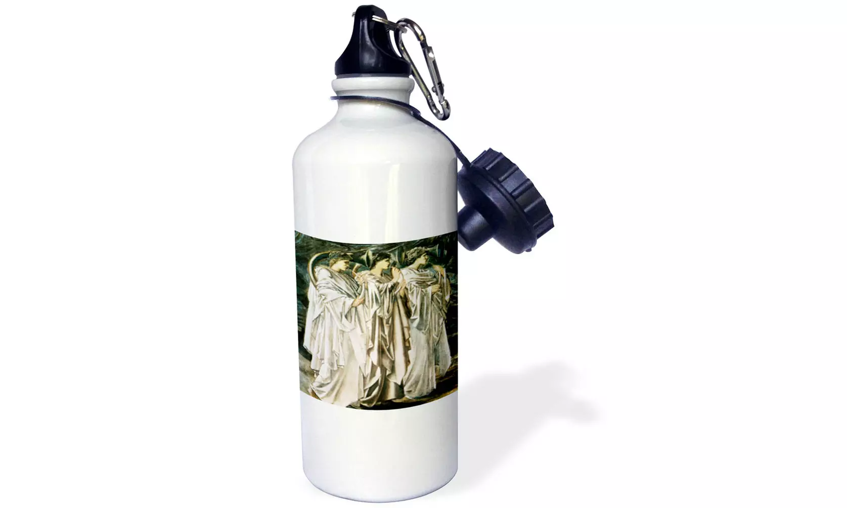  Water Bottle The Challenge in the Desert by Edward BurneJones  - Primary Image