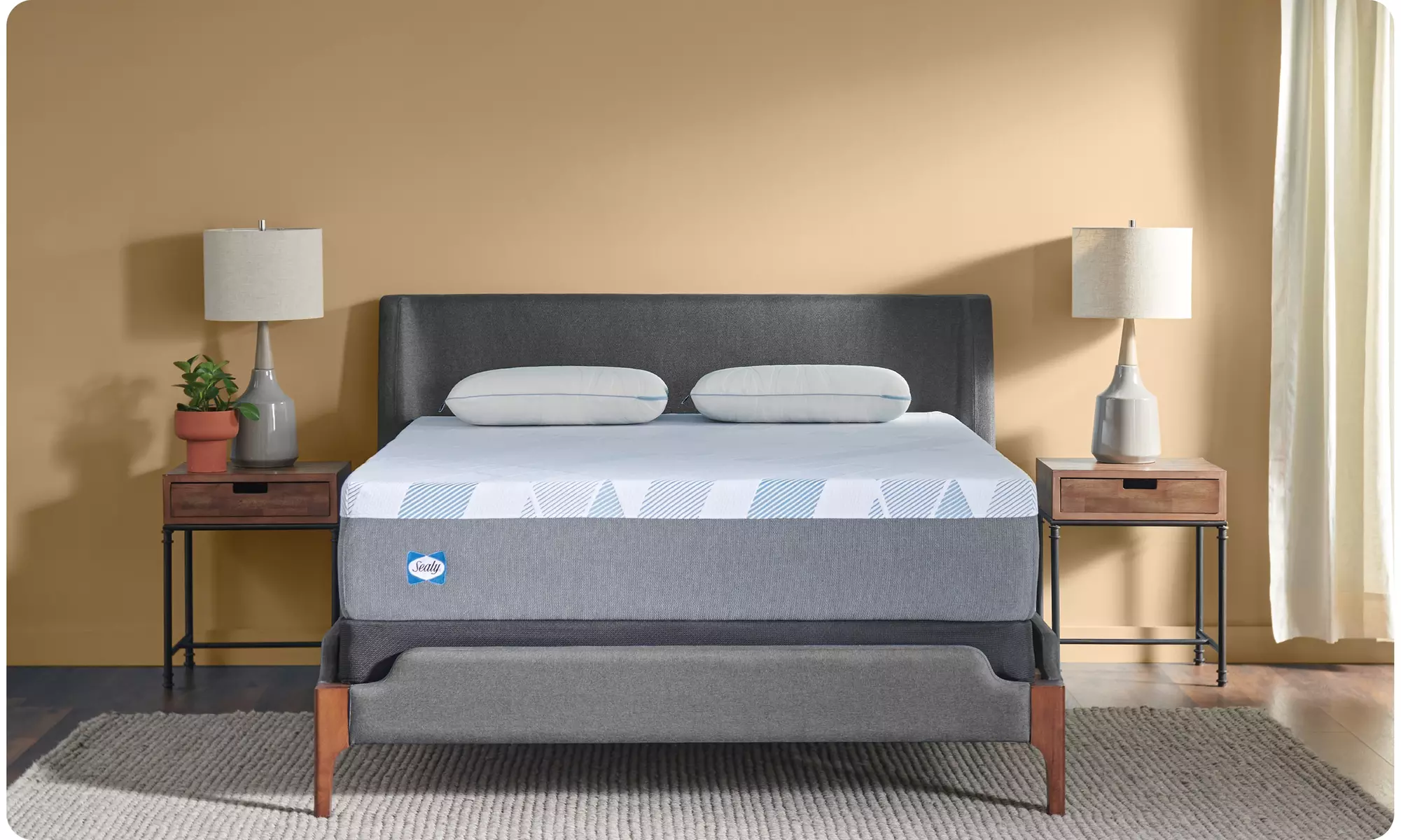 Sealy Dreamlife 12" Foam Mattress-in-a-Box