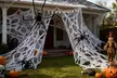 ItBelongs2U White Halloween Spiderwebs Decor with Optional Spider - Second Medium