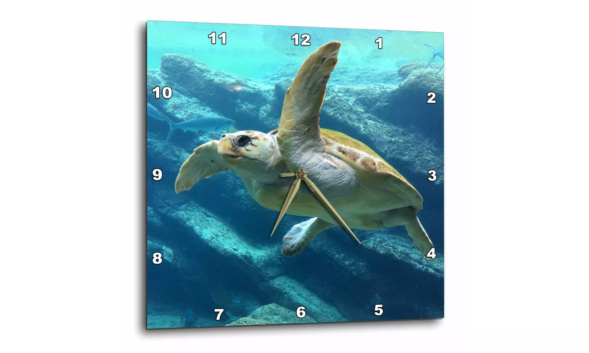  Wall Clock - Water Turtle in the Sealife Ocean - Primary Image