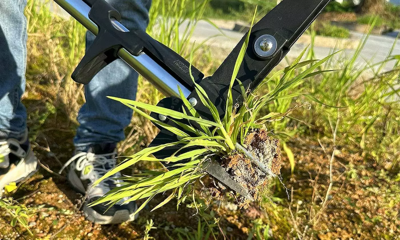 LakeForest Home Gardening & Irrigation Collection