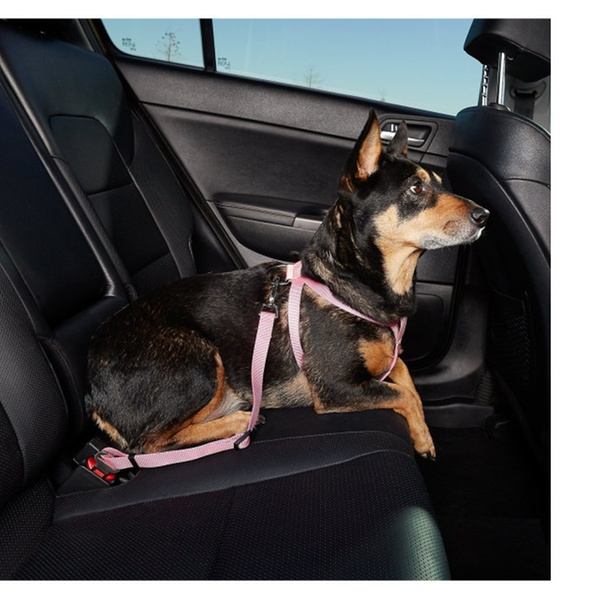 Hdp Car Harness Dog Safety Seat Belt Gear Travel System
