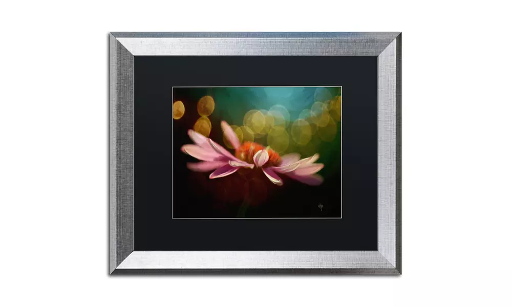 Lois Bryan 'The Secret World of Coneflowers' Matted Silver Framed Art - Second Medium
