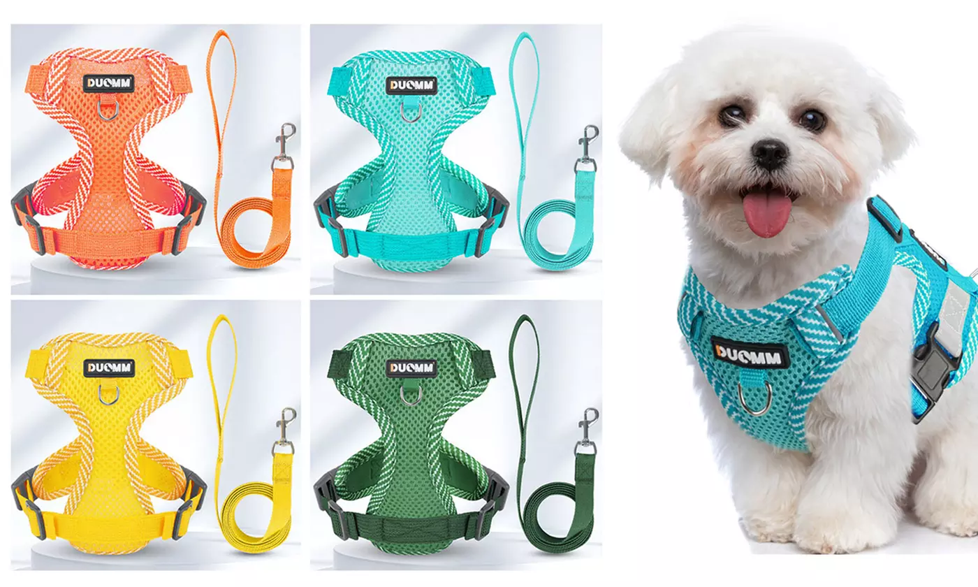 Soft Mesh Dog Harness Leash Set No-Chock Step-in Reflective Vest Harnesses