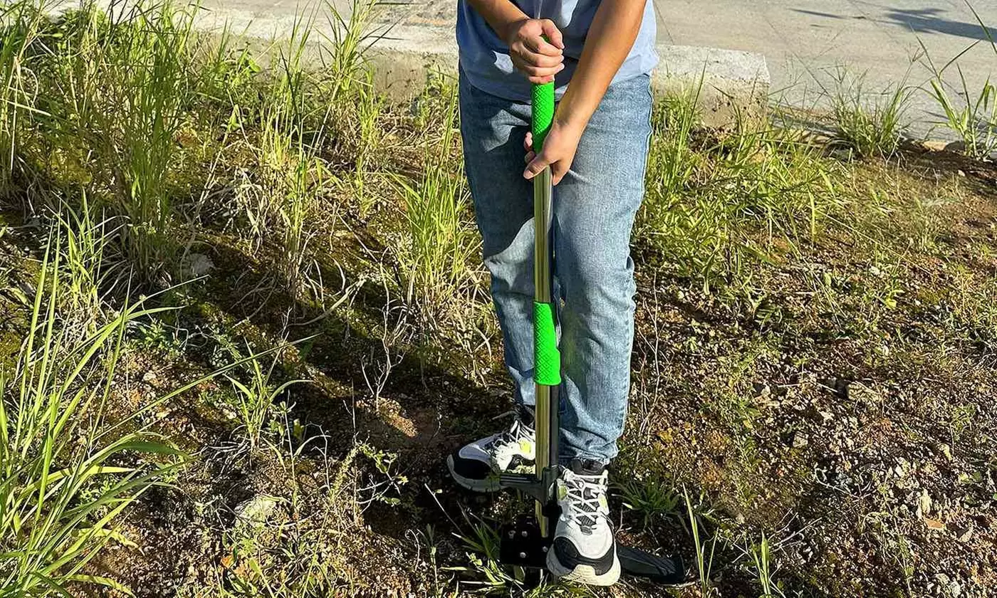 LakeForest Home Gardening & Irrigation Collection