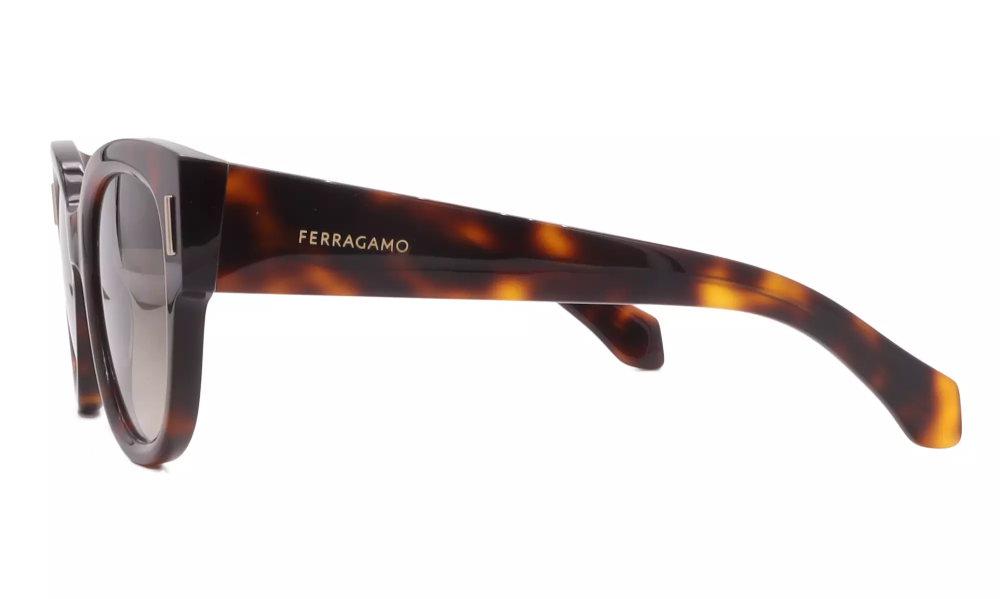 Salvatore Ferragamo Sunglass Collection