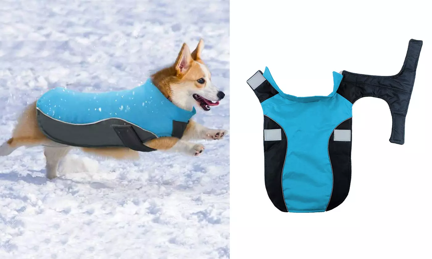 Waterproof Cold-proof Clothes Reflective Jackets for Pet Puppy Large Dog
