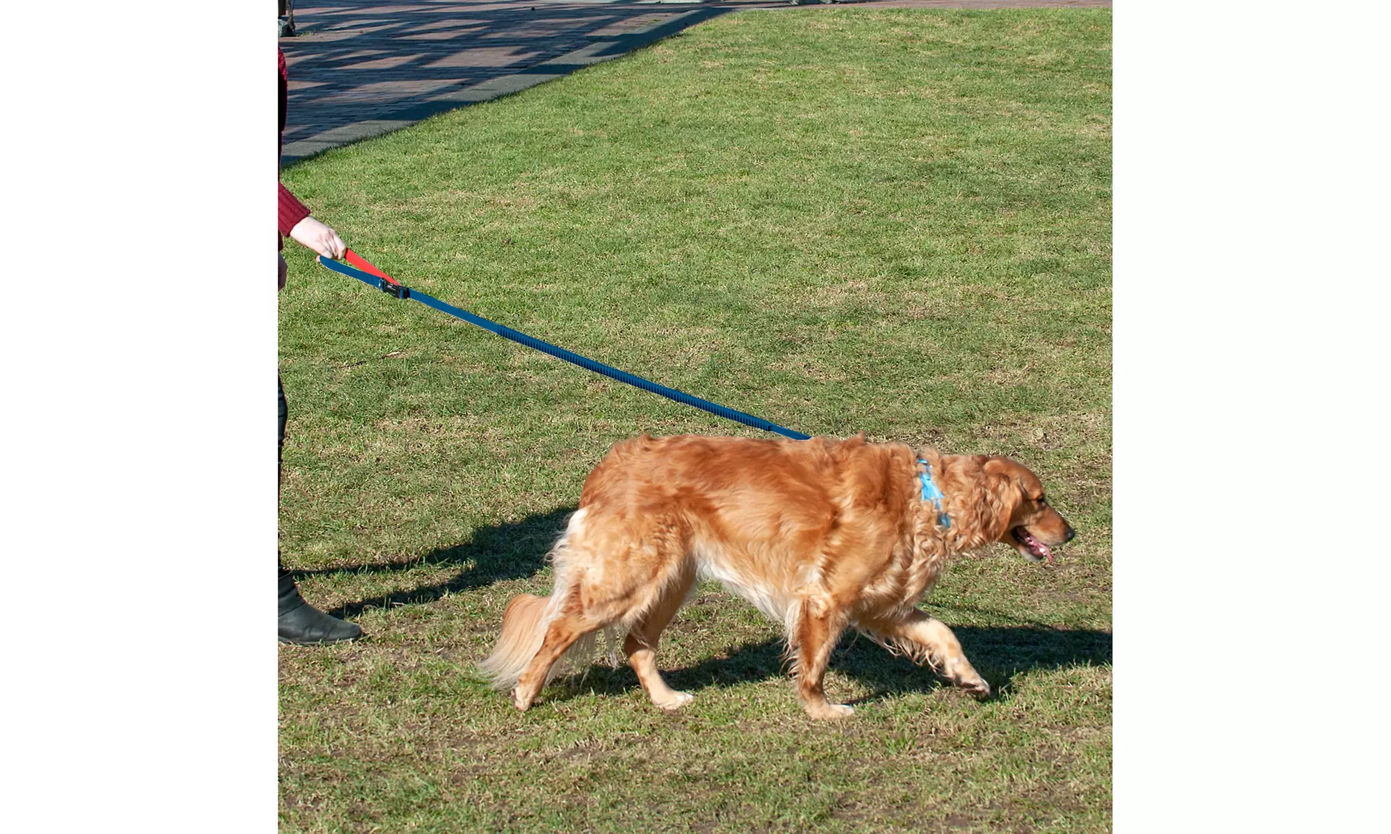 FurHaven Easy-Tether Reflective Bungee Dog Leash  - Primary Image
