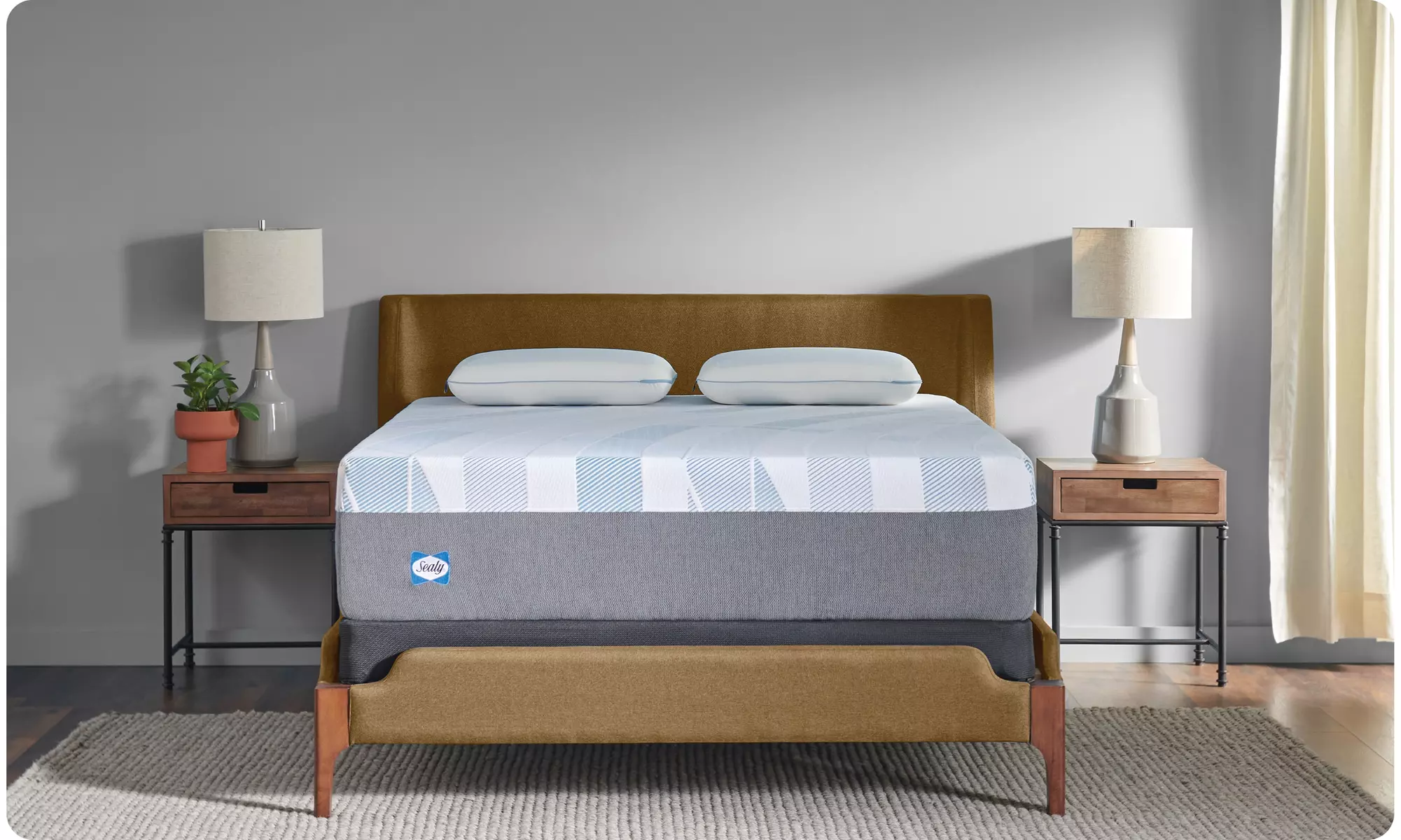 Sealy Dreamlife 14" Foam Mattress-in-a-Box