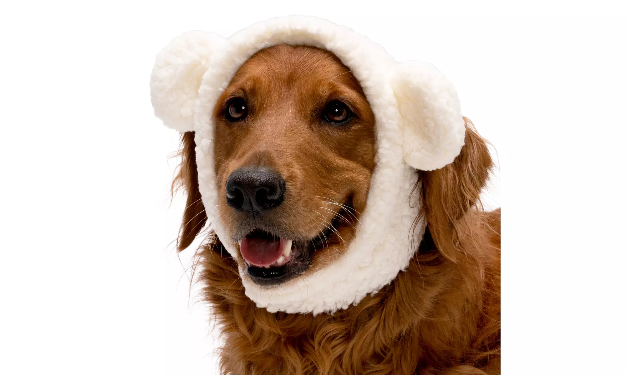 FurHaven Halloween Costume Flex-Fit Pet Costume Hat (Bat, Monster, Polar Bear)