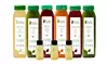 Juice Cleanse Detox - Raw Fountain - All Natural Cold Pressed  - 1 3 5 7 Day