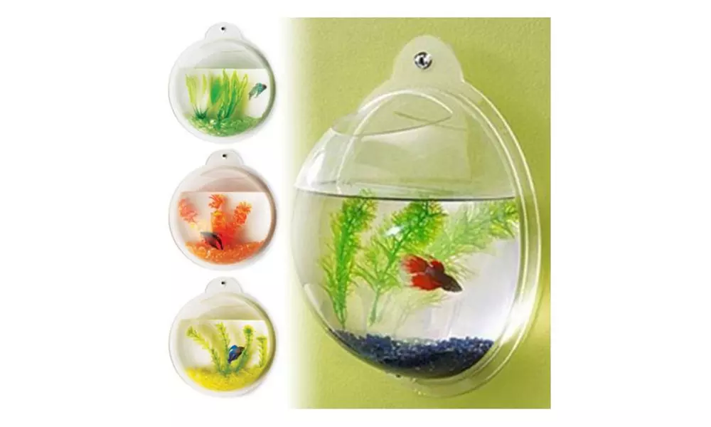 Fish Bubble - Deluxe Acrylic Wall Mounted Fish Tank - Primary Image