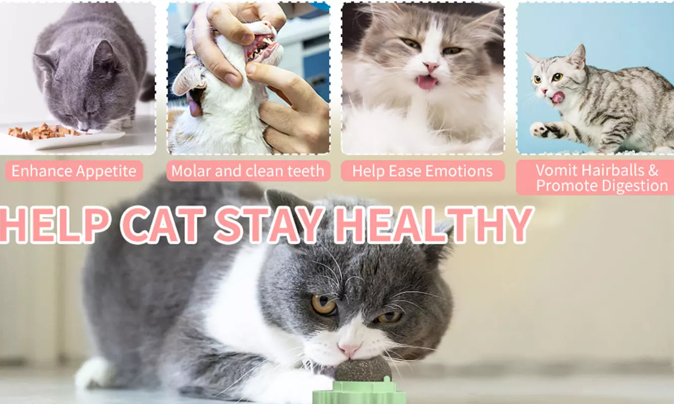 3 Pack Wall Rotating Catnip Balls for Indoor Cat Snack Ball