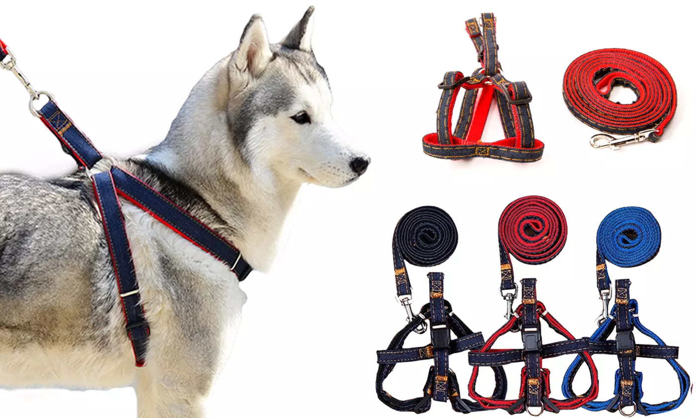 No Pull Choking Dog Harness Soft Adjustable Control Pet Vest for Outdoor Walking - Primary Image