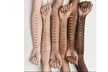 MAC Studio Fix Fluid SPF 15 24HR Matte Foundation - Multiple Shades - Second Medium