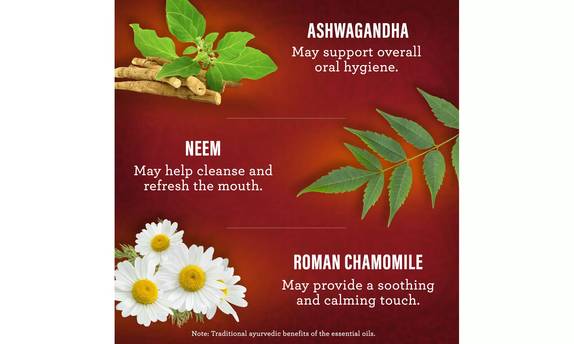 GuruNanda Cinnamon Oil Pulling with Ashwagandha and Neem - 8.0 Fl. Oz. 