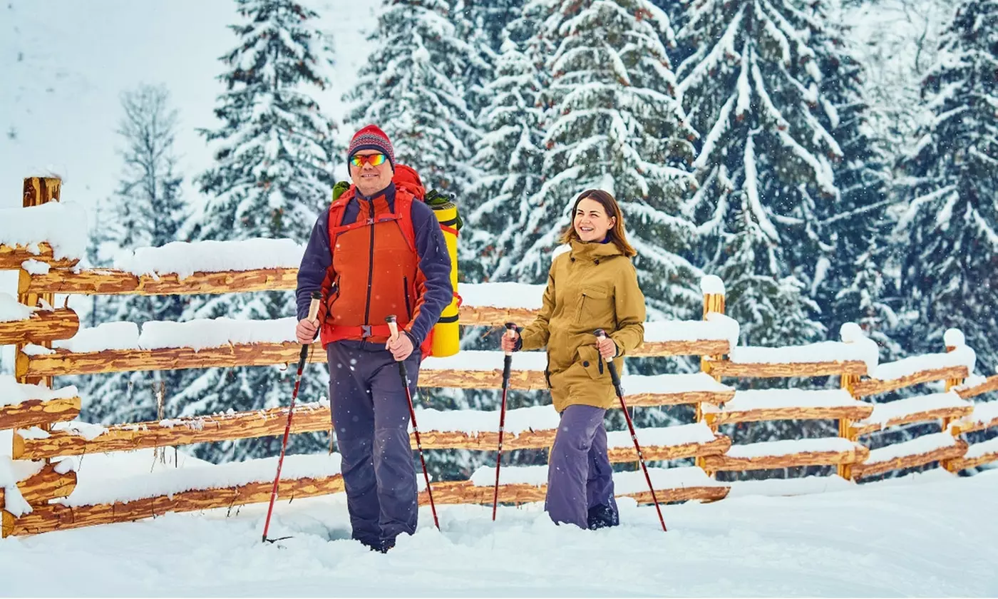 LakeForest Pack of Two Aluminum Adjustable Trekking Poles