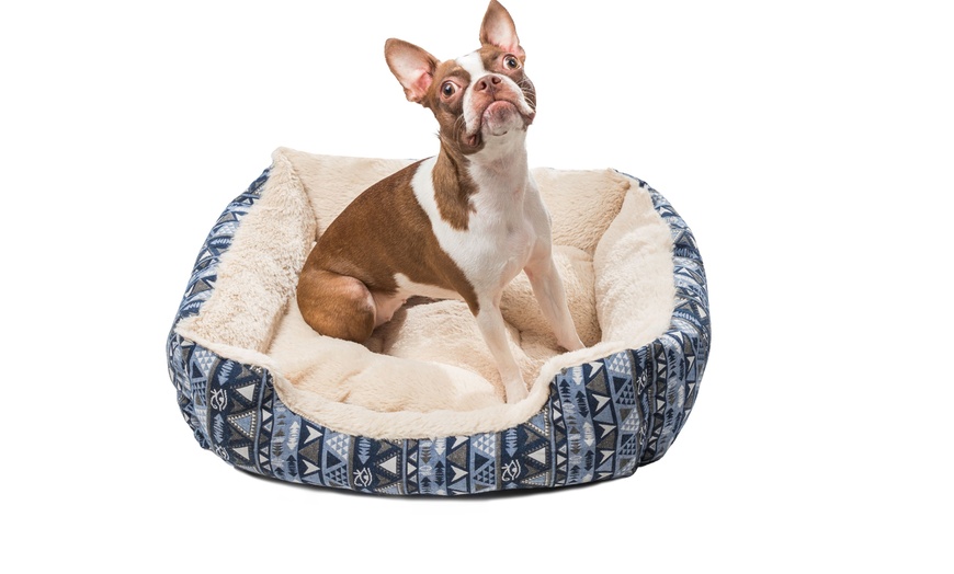 Wags and whiskers outlet dog bed