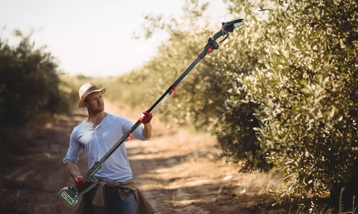 LakeForest Lawn Essentials 21V Cordless Tool Collection