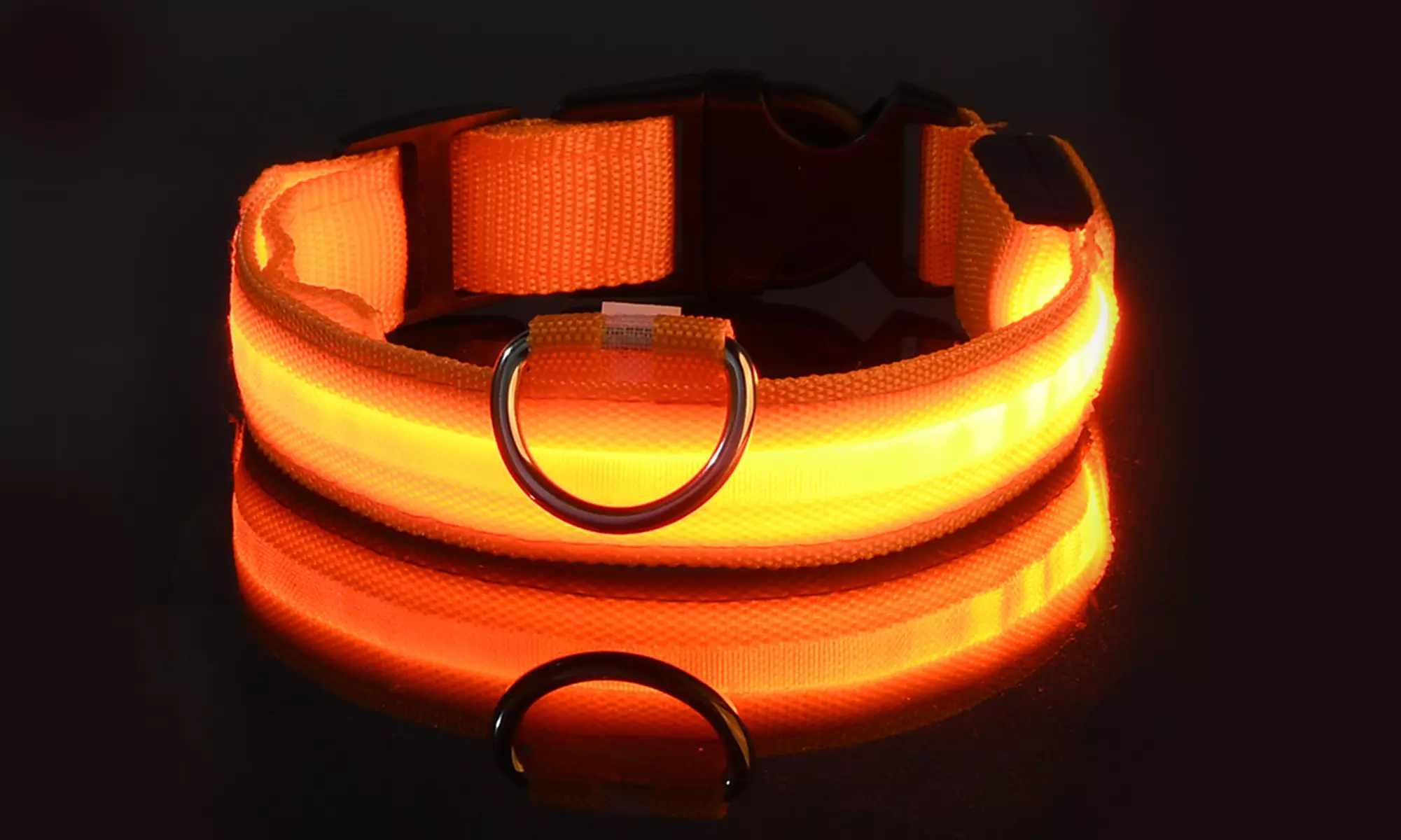 SAFETY LED Dog Pet Light Up Collar Night Glow Adjustable Bright 5 Color Leash