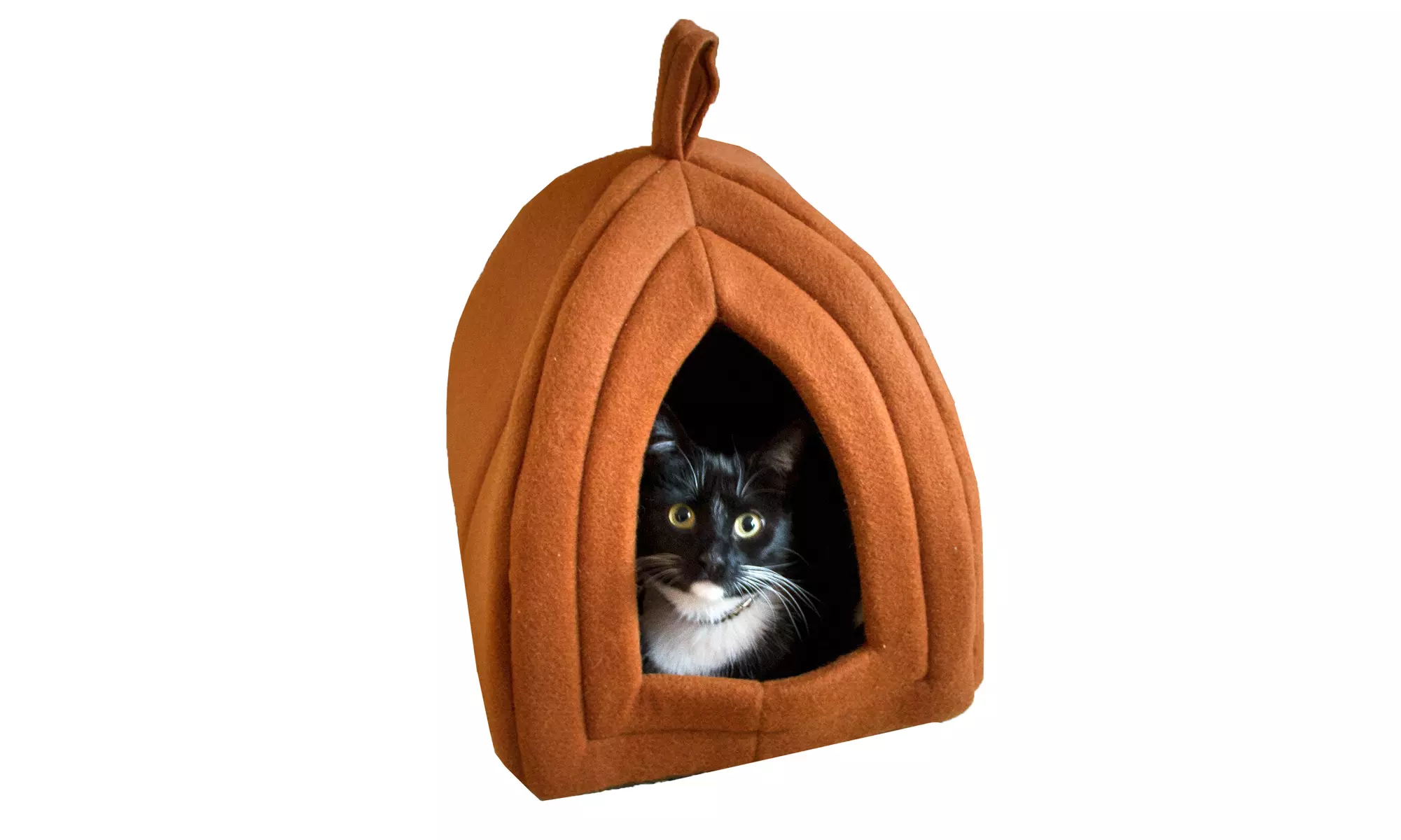 Cat Pet Igloo Cave Enclosed Covered Tent House Removable Cushion Bed Hideout - Primary Image