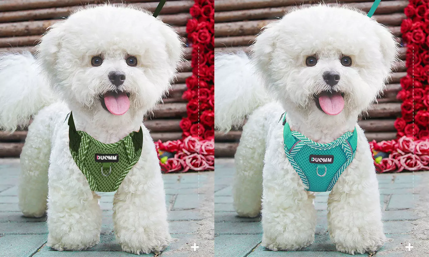 Soft Mesh Dog Harness Leash Set No-Chock Step-in Reflective Vest Harnesses