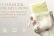 Saisze Soap Bar for All Skin Types 2 Piece 9.92 oz Multiple Options - Second Medium
