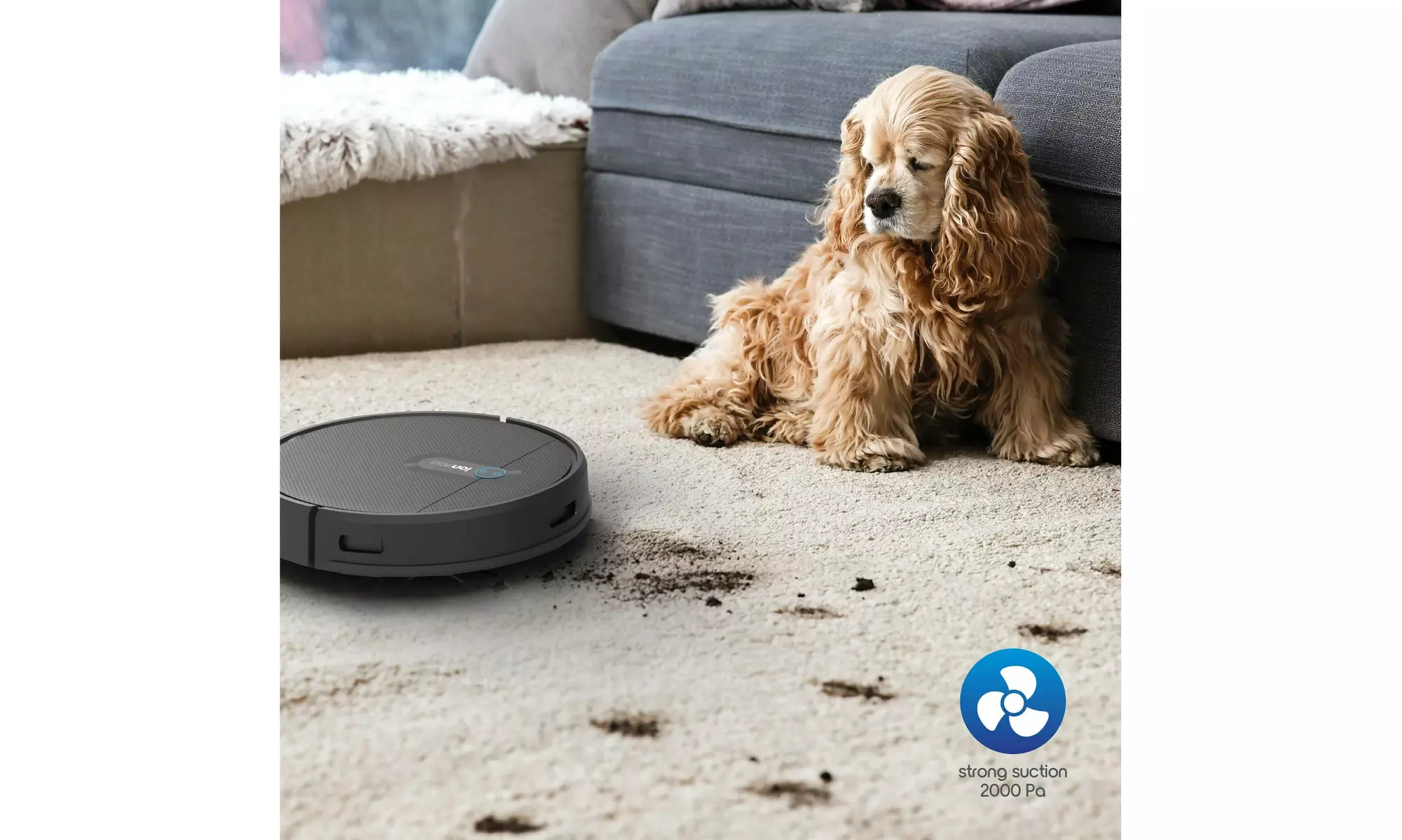 IonVac SmartClean V2, Smart Mapping Robot Vacuum with App/Remote Control, Black