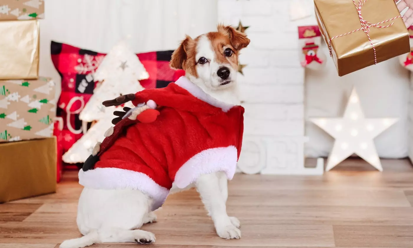 Pet Christmas Costume with Santa Claus and Reindeer Antlers for Dogs and Cats