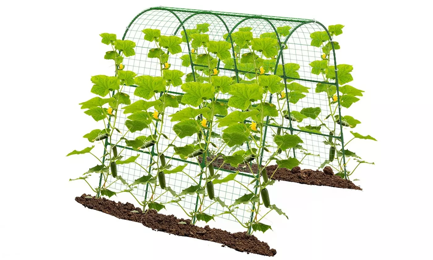 LakeForest Home Gardening & Irrigation Collection