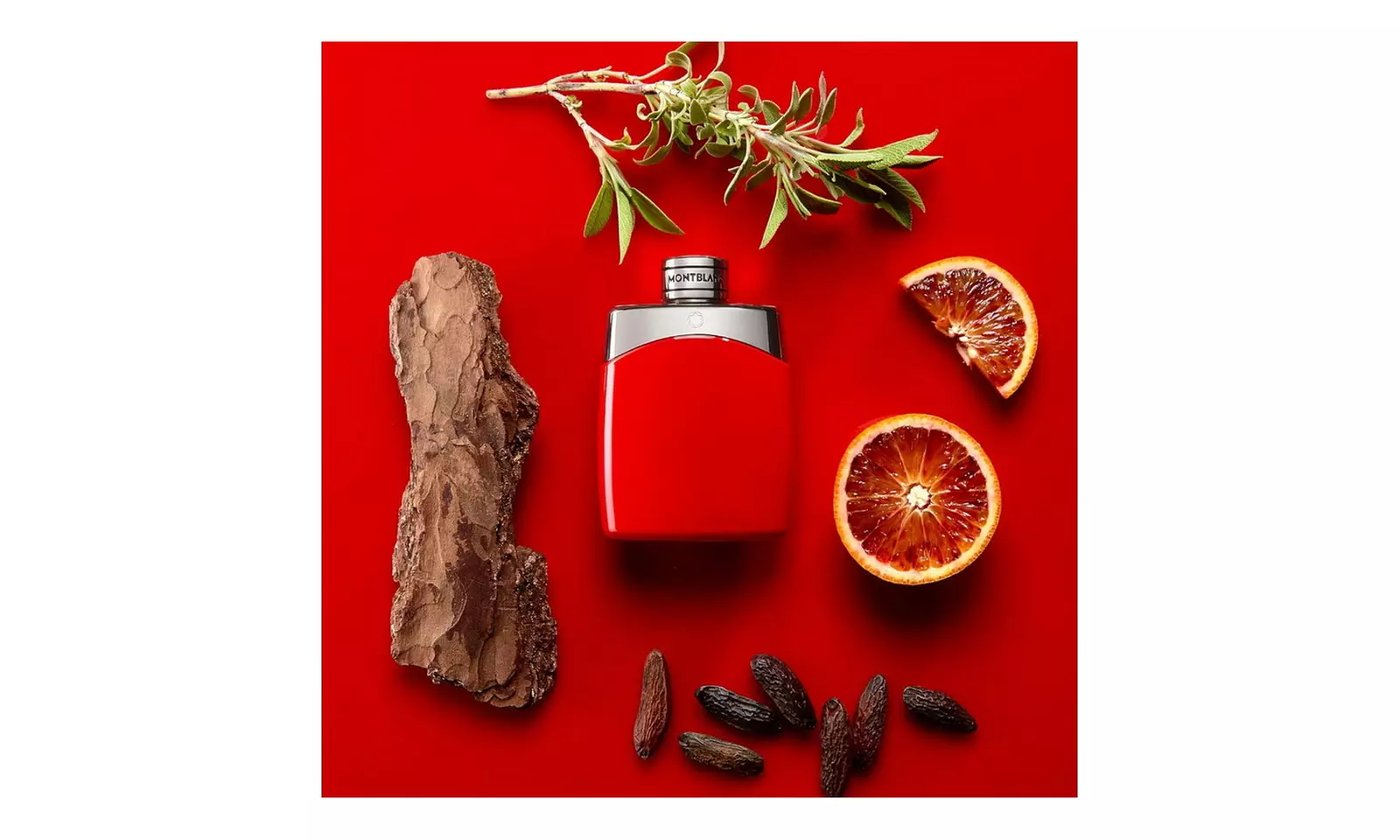 Mont Blanc Explorer Fragrances For Men