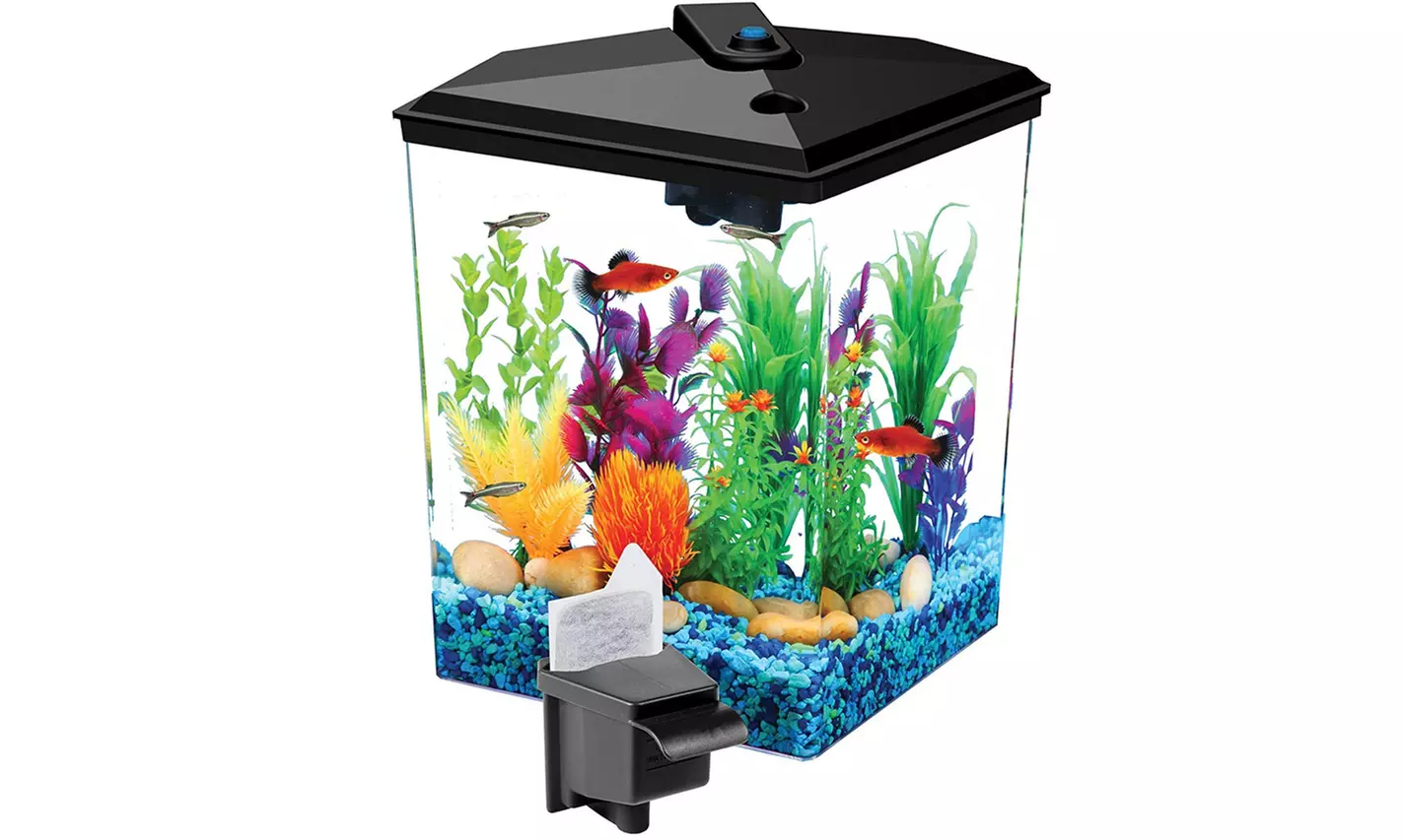 1 Gallon Corner Aquarium Starter Kit with LED Light and Power Filter - Primary Image