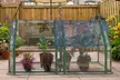 iMounTEK Mini Greenhouse with Roll-Up Doors and UV-Resistant Waterproof Cover - Second Medium